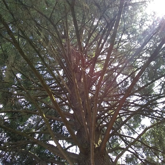 Meet your Posher, Nichelle - Picture 1 of 1